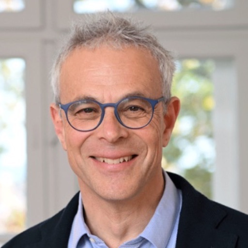 Prof. Dr. Laurent Goetschel
